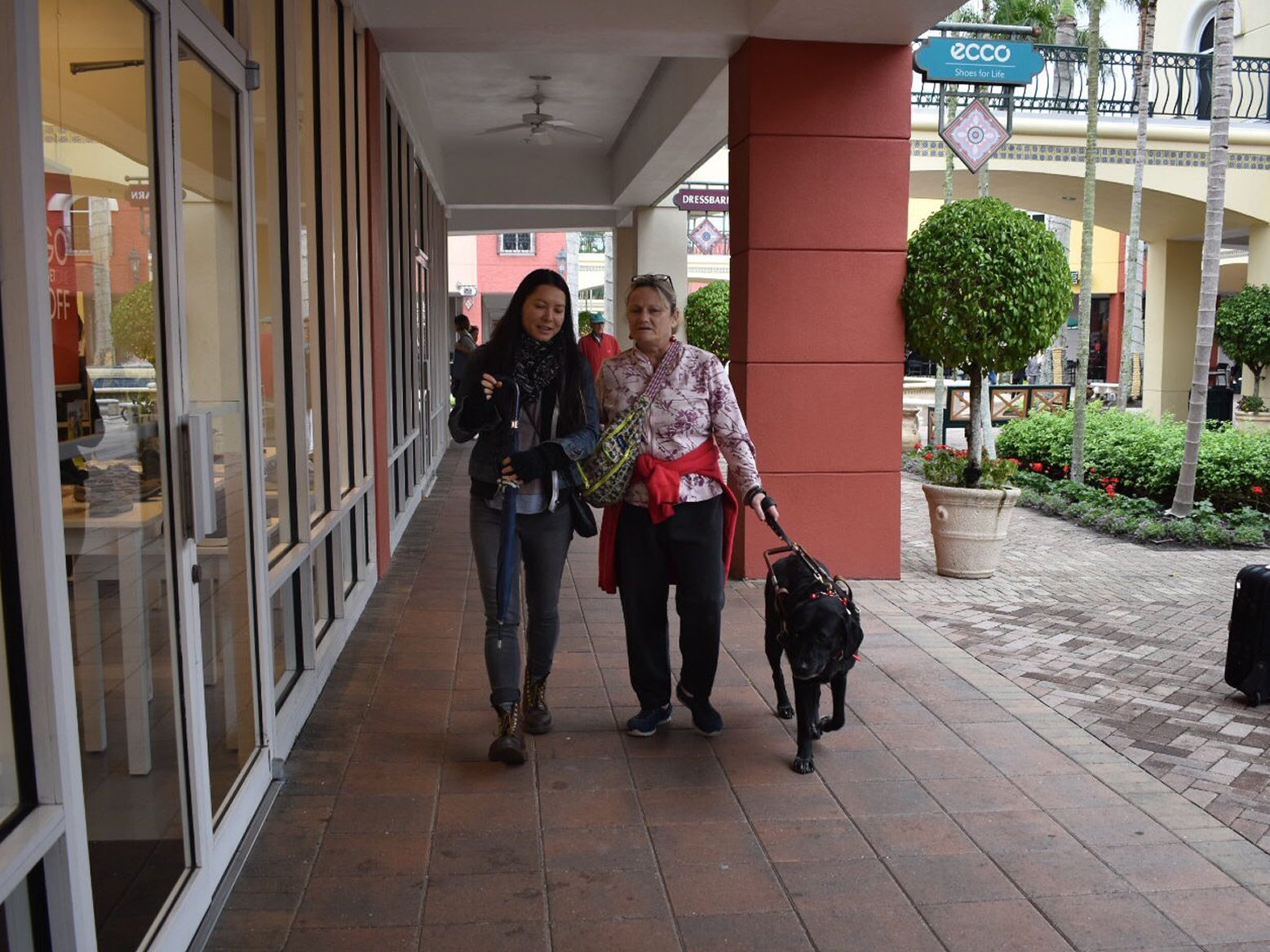 Holiday Shopping 2017